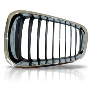 Tela Frontal Bmw Sedan Série 318 320 1998 1999 2000 2001 Lado Esquerdo