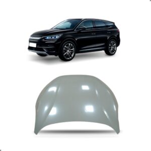 Capo Para Byd Tan 2022 2023 2024