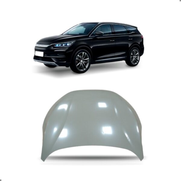 Capo Para Byd Tan 2022 2023 2024
