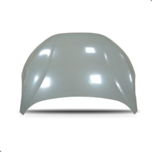 Capo Para Byd Tan 2022 2023 2024