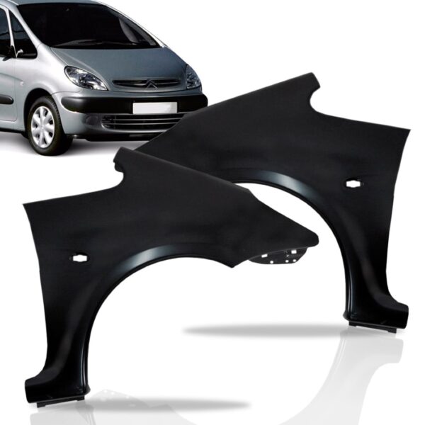 Paralama Picasso 1999 2000 01 02 03 04 2006 Citroen Direito - - Direito