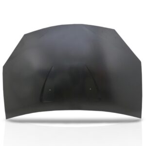 Capo Renault Sandero 2009 2010 2011 2012 2013 2014