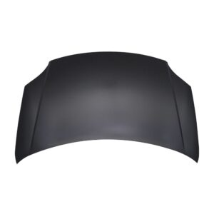 Capo Palio 2012 2013 2014 2015 Fiat