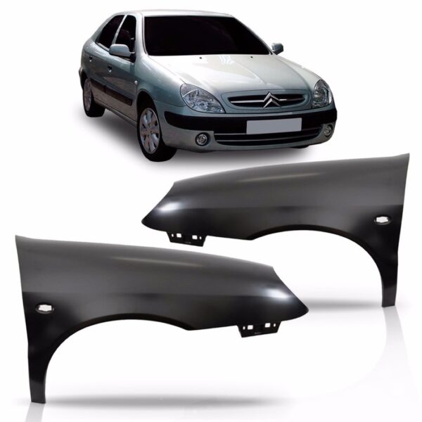 Paralama Para Citroen Xsara 2001 2002 2003 Lado Direito
