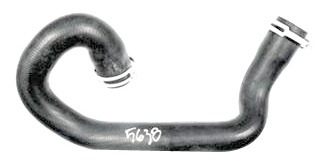 Mangueira Inferior Radiador Focus 2.0 Duratec 2008 Em Diante