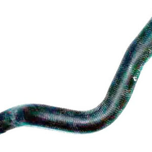 Mangueira Superior Ka 1.0 Flex 2014 Em Diante