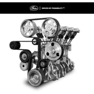 Correia Alternador A-10 A-20 C-10 C-20 6cc Gates