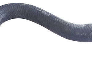 Mangueira Tubo Flexivel Ligacao Escort Sw 1997 Em Diante