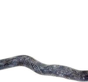 Mangueira Inferior Reservatorio Ao Radiador Logus 1.6 1992