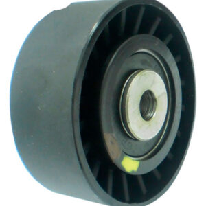 Polia Alternador 206 207 307 C3