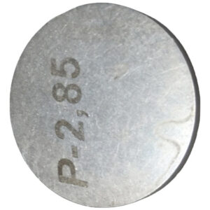 Pastilha Valvula Palio 01 Em Diante Fire