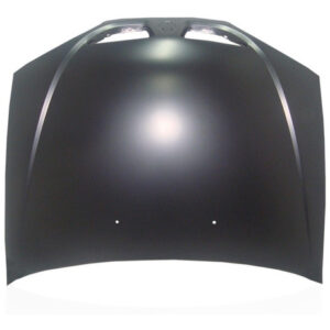 Capo Megane 2000 2001 2002 2003 2004 05 Renault Megane Novo