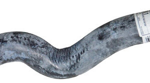 Mangueira Superior Radiador Marea 2.4 20v 2001 A 2007 .