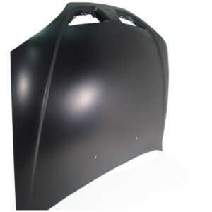 Capo Megane 2000 2001 2002 2003 2004 05 Renault Megane Novo