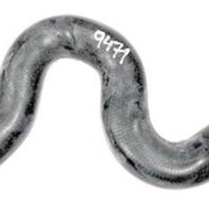 Mangueira Superior Radiador C4 1.6 207 206 307 2000 Ate 2006