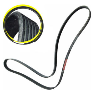 Correia Micro V Sonic 2012 A 2015