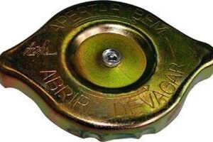 Tampa Radiador F1000 F4000 F11000 F22000 A C D 10 60 70 80