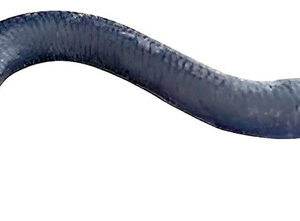 Mangueira Tubo Flexivel Ligacao Escort Sw 1997 Em Diante