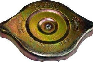 Tampa Radiador Passat Gol Voyage Parati Saveiro Ate 1986