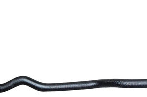 Mangueira Reservatorio A Valvula Termostatica Courier 1.6