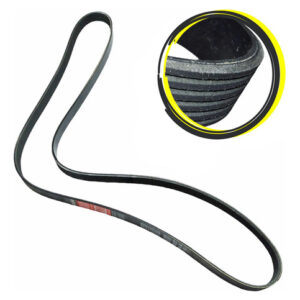 Correia Micro V Sonic 2012 A 2015