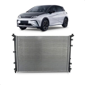 Radiador Para Byd Dolphin 2023 2024 Com Ar