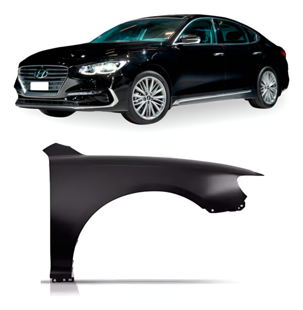 Paralama Azera 2009 2010 2011 Para Hyundai Lado Esquerdo