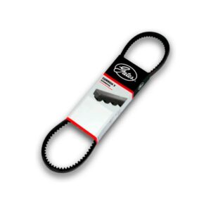 Correia Alternador Fiat 147 Elba Fiorino Uno Premio Gates