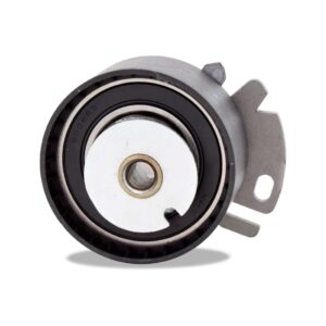 Tensor Correia Palio Siena