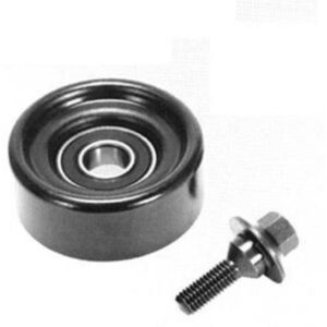 Polia Alternador Gol 95/96 Vw Cor Preta