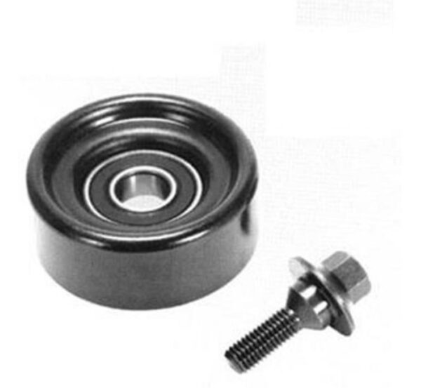 Polia Alternador Gol 95/96 Vw Cor Preta