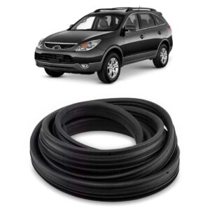 Borracha Parabrisas Vera Cruz