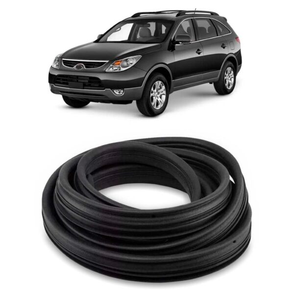 Borracha Parabrisas Vera Cruz