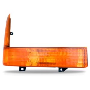 Sinaleira F250 F350 1999 00 2001 2002 2003 2004 2005 Âmbar Lado Direito