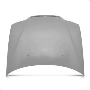 Capô Fiat Palio Fire 2001 2002 2003 Com Furo Esguicho Cinza