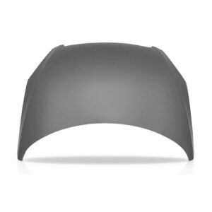 Capo Peugeot 307 2002 A 2006 Cinza