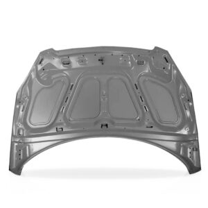 Capo Peugeot 307 2002 A 2006 Cinza