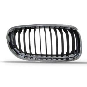 Grade Radiador Bmw 320 2009 A 2012com Friso 1a Linha Lado Direito