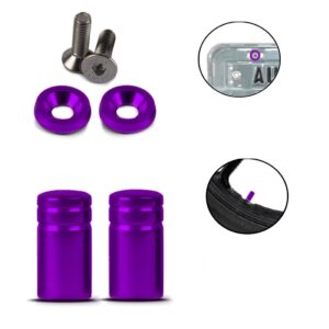 Kit Parafuso De Placa E Tampa Válvula Honda Cg Xre Tenere Cor Roxo