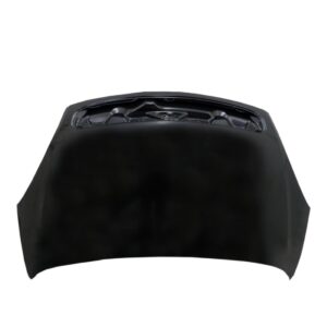 Capo Citroen Picasso 1999 2000 2001 2002 2003 2004 2005