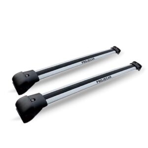 Bagageiro Rack Teto Ecosport 2010 2011 2012 Prata Aluminio Prata