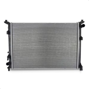 Kit Radiador Pra Dolphin 2023 A 2026 C/ Defletor E Ventoinha